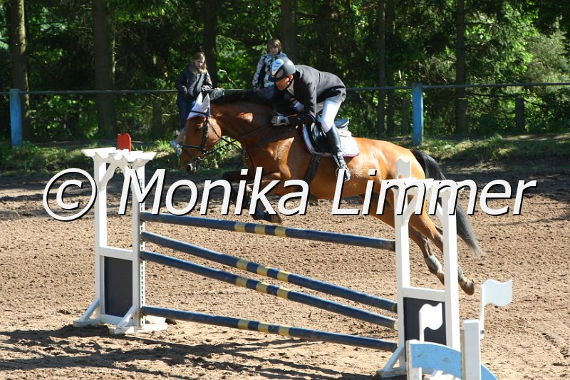 104M8869_Spring M_m.Stechen.JPG